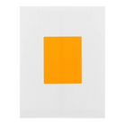 JAM Paper - Étiquettes postales, 4 x 5 po, orange fluo, 2 paquets de 120 (354329159G)-4