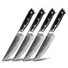 Minimal - Ensemble de couteaux à steak Damascus Black G10 de 4 pièces, service pour 4 personnes-Acier Damas forgé 67 couches avec noyau en acier VG10