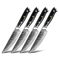 Minimal - Ensemble de couteaux à steak Damascus Black G10 de 4 pièces, service pour 4 personnes-Acier Damas forgé 67 couches avec noyau en acier VG10