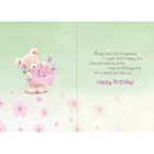 Rosedale – Cartes de souhaits et enveloppes d’anniversaire pour jeune fille, It’s Your Birthday, 5 1/2 x 8 po, 12/paquet (15921)-Cartes de souhaits de qualité comparable à celles qu’on retrouve dans un magasin spécialisé