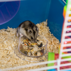 PawHut 23" Large Hamster Cage 5-Level with Tunnel Tube System - Blue-Material: Steel Wire, PP, PS