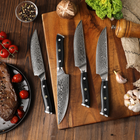 Minimal - Ensemble de couteaux à steak Damascus Black G10 de 4 pièces, service pour 4 personnes-Longueur totale : 230 mm avec longueur de lame : 120 mm