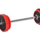 Soozier - Ensemble Haltère & Barre 2-En-1 Réglable 44 Lb Musculation Fitness Disque Tige Pince-Ensemble haltère et barre 2 en 1 pour un total de 44 lb  